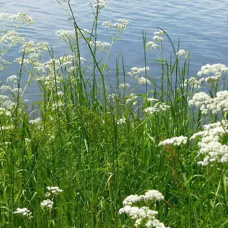 Daire Am Yachthafen - Pier 30, Wunderschoene 2 Pers -whg *