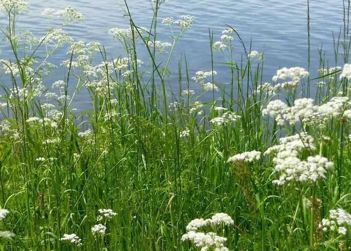 Am Yachthafen - Pier 30, Wunderschoene 2 Pers -whg *